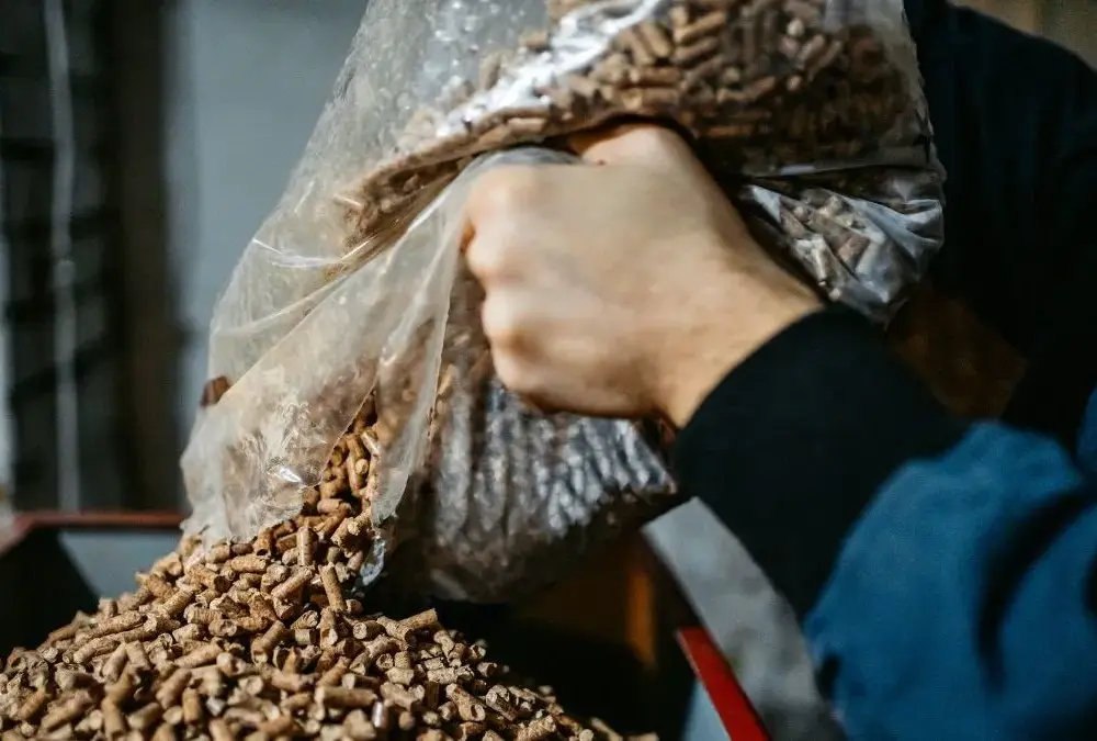 Ile kosztuje pellet w Niemczech? Ceny, porównania i zakupy w 2023