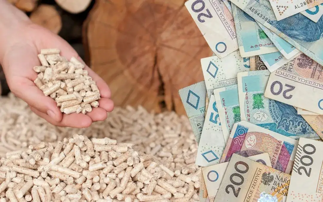 Zdjęcie Ile kosztuje pellet w Niemczech? Ceny, porównania i zakupy w 2023